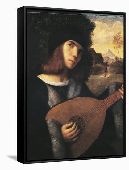 Lute Player, John Cariani-null-Framed Stretched Canvas