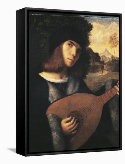 Lute Player, John Cariani-null-Framed Stretched Canvas