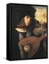 Lute Player, John Cariani-null-Framed Stretched Canvas