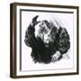Luther Caught in a Thunderstorm-C.l. Doughty-Framed Giclee Print