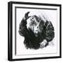 Luther Caught in a Thunderstorm-C.l. Doughty-Framed Giclee Print