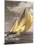 Lutine 1951-Mystic Seaport-Mounted Art Print