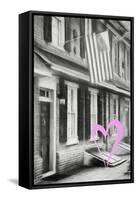 Luv Collection - American Home-Philippe Hugonnard-Framed Stretched Canvas