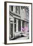 Luv Collection - American Home-Philippe Hugonnard-Framed Art Print