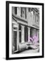 Luv Collection - American Home-Philippe Hugonnard-Framed Art Print