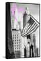 Luv Collection - New York City - American Flag-Philippe Hugonnard-Framed Stretched Canvas