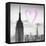 Luv Collection - New York City - Empire State Building II-Philippe Hugonnard-Framed Stretched Canvas