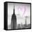 Luv Collection - New York City - Empire State Building II-Philippe Hugonnard-Framed Stretched Canvas