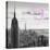 Luv Collection - New York City - NY Skyline II-Philippe Hugonnard-Stretched Canvas