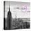 Luv Collection - New York City - NY Skyline II-Philippe Hugonnard-Stretched Canvas
