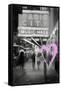 Luv Collection - New York City - Radio City Music Hall-Philippe Hugonnard-Framed Stretched Canvas