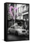 Luv Collection - New York City - Taxi Cabs-Philippe Hugonnard-Framed Stretched Canvas