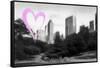 Luv Collection - New York City - The Central Park-Philippe Hugonnard-Framed Stretched Canvas