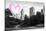 Luv Collection - New York City - The Central Park-Philippe Hugonnard-Stretched Canvas