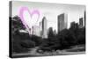 Luv Collection - New York City - The Central Park-Philippe Hugonnard-Stretched Canvas