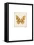 Luxe Butterfly-Morgan Yamada-Framed Stretched Canvas