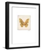 Luxe Butterfly-Morgan Yamada-Framed Premium Giclee Print