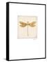 Luxe Dragonfly-Morgan Yamada-Framed Stretched Canvas