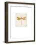 Luxe Dragonfly-Morgan Yamada-Framed Premium Giclee Print