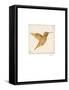 Luxe Hummingbird-Morgan Yamada-Framed Stretched Canvas