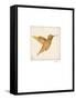 Luxe Hummingbird-Morgan Yamada-Framed Stretched Canvas