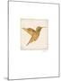 Luxe Hummingbird-Morgan Yamada-Mounted Premium Giclee Print