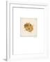 Luxe Ladybug-Morgan Yamada-Framed Premium Giclee Print