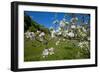 Luxembourg, Ansembourg, Castle Garden, Apple Tree Blossom, Spring-Chris Seba-Framed Photographic Print