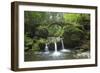 Luxembourg, MŸllertal, Wood, River, Bridge-Chris Seba-Framed Premium Photographic Print