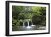 Luxembourg, MŸllertal, Wood, River, Bridge-Chris Seba-Framed Premium Photographic Print