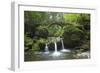 Luxembourg, MŸllertal, Wood, River, Bridge-Chris Seba-Framed Premium Photographic Print