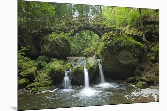 Luxembourg, MŸllertal, Wood, River, Bridge-Chris Seba-Mounted Premium Photographic Print