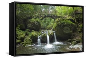 Luxembourg, MŸllertal, Wood, River, Bridge-Chris Seba-Framed Stretched Canvas