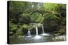 Luxembourg, MŸllertal, Wood, River, Bridge-Chris Seba-Stretched Canvas