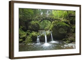 Luxembourg, MŸllertal, Wood, River, Bridge-Chris Seba-Framed Photographic Print