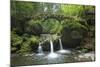 Luxembourg, MŸllertal, Wood, River, Bridge-Chris Seba-Mounted Photographic Print