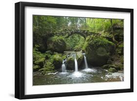 Luxembourg, MŸllertal, Wood, River, Bridge-Chris Seba-Framed Photographic Print