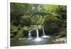 Luxembourg, MŸllertal, Wood, River, Bridge-Chris Seba-Framed Photographic Print