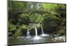 Luxembourg, MŸllertal, Wood, River, Bridge-Chris Seba-Mounted Photographic Print