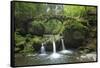 Luxembourg, MŸllertal, Wood, River, Bridge-Chris Seba-Framed Stretched Canvas