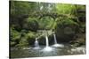 Luxembourg, MŸllertal, Wood, River, Bridge-Chris Seba-Stretched Canvas