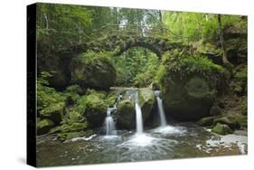 Luxembourg, MŸllertal, Wood, River, Bridge-Chris Seba-Stretched Canvas