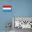 Luxembourg National Flag Poster Print-null-Mounted Poster displayed on a wall