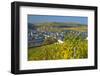 Luxembourg, Remich, Townscape, Vineyards, Autumn Colours-Chris Seba-Framed Photographic Print