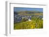 Luxembourg, Remich, Townscape, Vineyards, Autumn Colours-Chris Seba-Framed Photographic Print