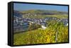 Luxembourg, Remich, Townscape, Vineyards, Autumn Colours-Chris Seba-Framed Stretched Canvas