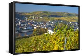 Luxembourg, Remich, Townscape, Vineyards, Autumn Colours-Chris Seba-Framed Stretched Canvas