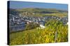 Luxembourg, Remich, Townscape, Vineyards, Autumn Colours-Chris Seba-Stretched Canvas