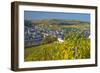 Luxembourg, Remich, Townscape, Vineyards, Autumn Colours-Chris Seba-Framed Premium Photographic Print