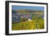 Luxembourg, Remich, Townscape, Vineyards, Autumn Colours-Chris Seba-Framed Premium Photographic Print